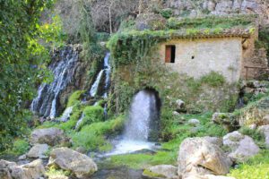 oasi grotte morigerati bussento